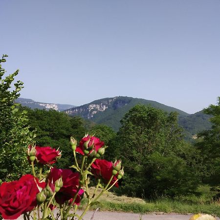 Au Chalet D'Anna Saint-Rambert-en-Bugey 外观 照片