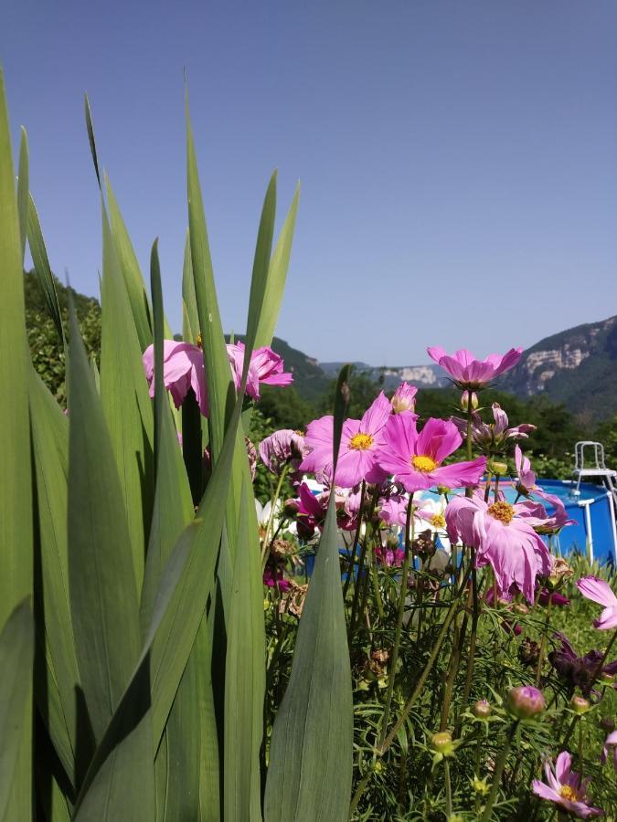 Au Chalet D'Anna Saint-Rambert-en-Bugey 外观 照片
