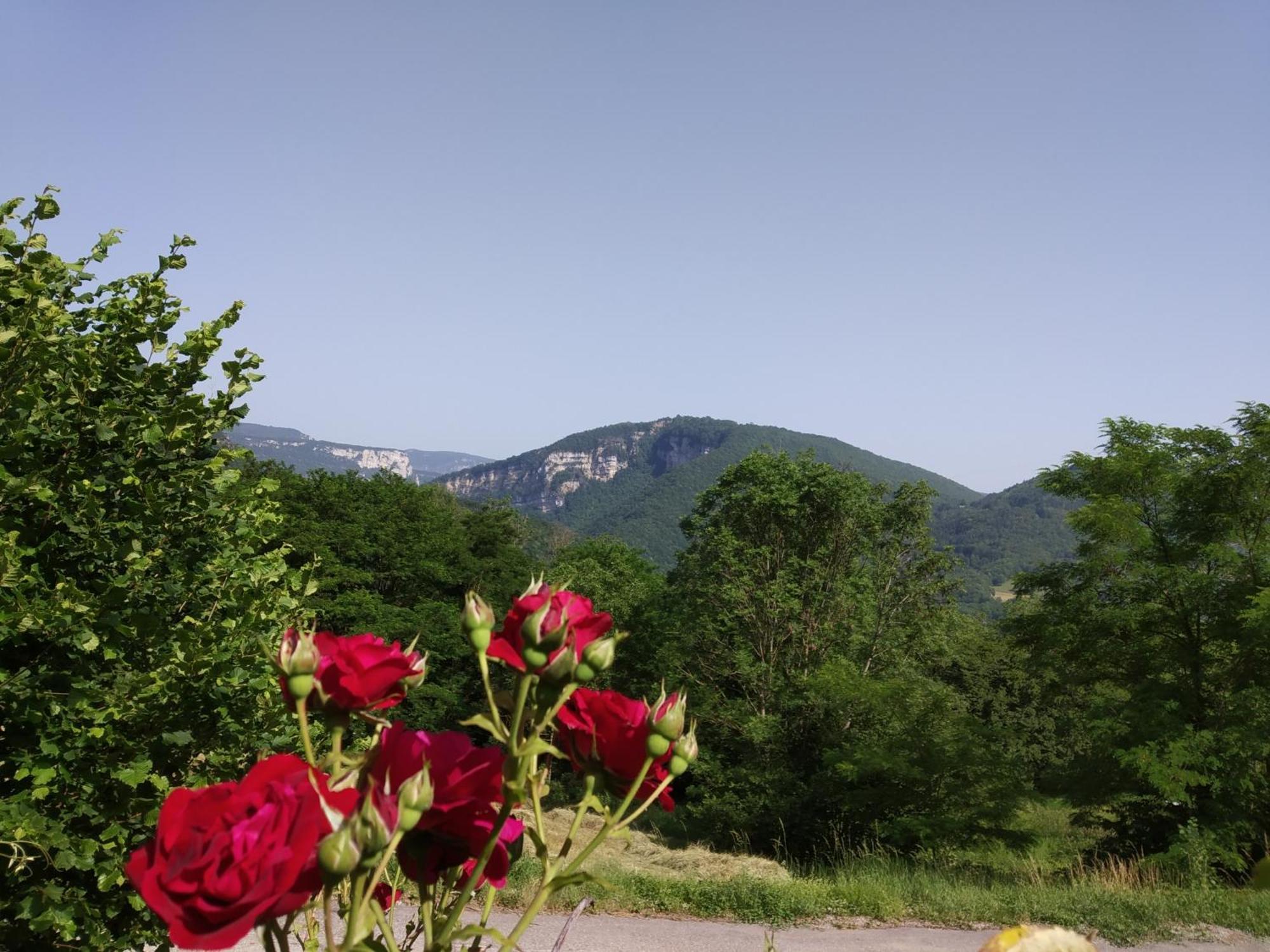 Au Chalet D'Anna Saint-Rambert-en-Bugey 外观 照片