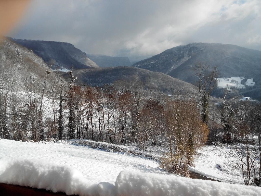 Au Chalet D'Anna Saint-Rambert-en-Bugey 外观 照片